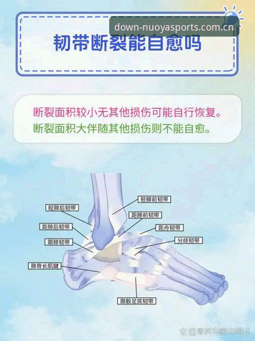 诺亚体育最新网站下载官方中文站APP下载 施洛特贝克韧带撕裂伤停8周:实用信息整理与观察指南